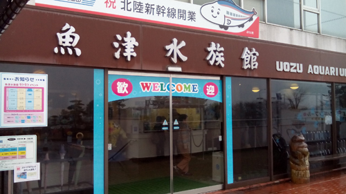 魚津水族館